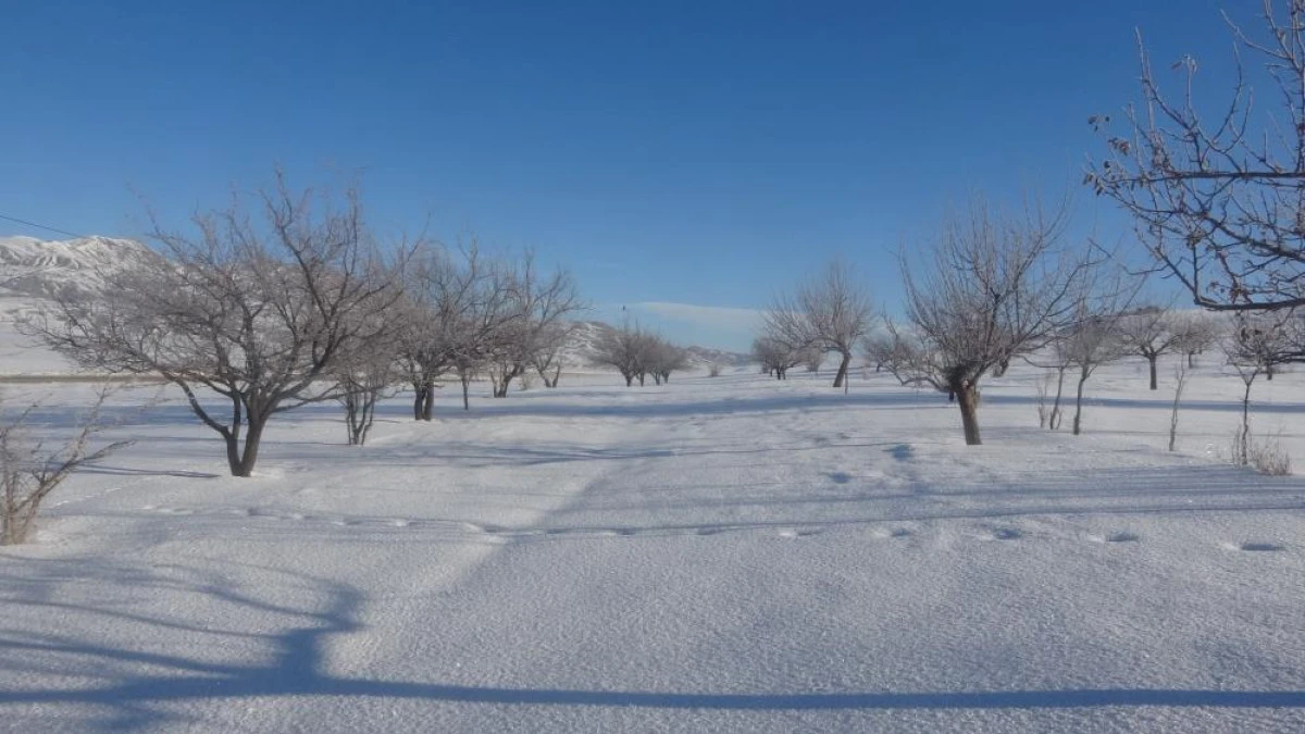 Van'da Sibirya soğukları hayatı olumsuz etkiliyor
