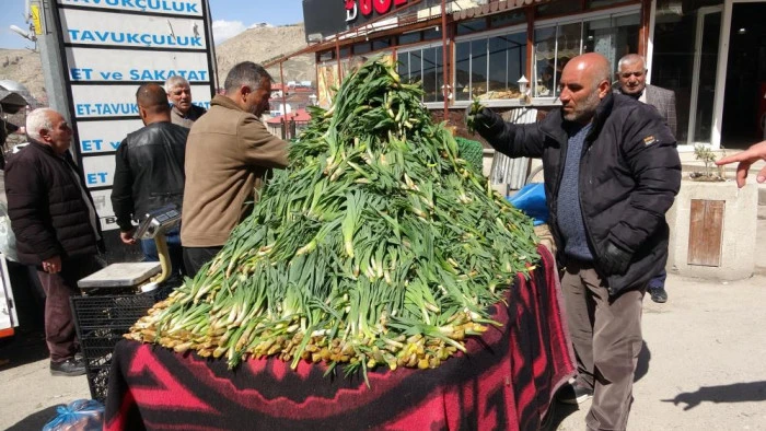 Van'da şifa kaynağı &lsquo;&ccedil;iriş otu' tezgahlardaki yerini aldı
