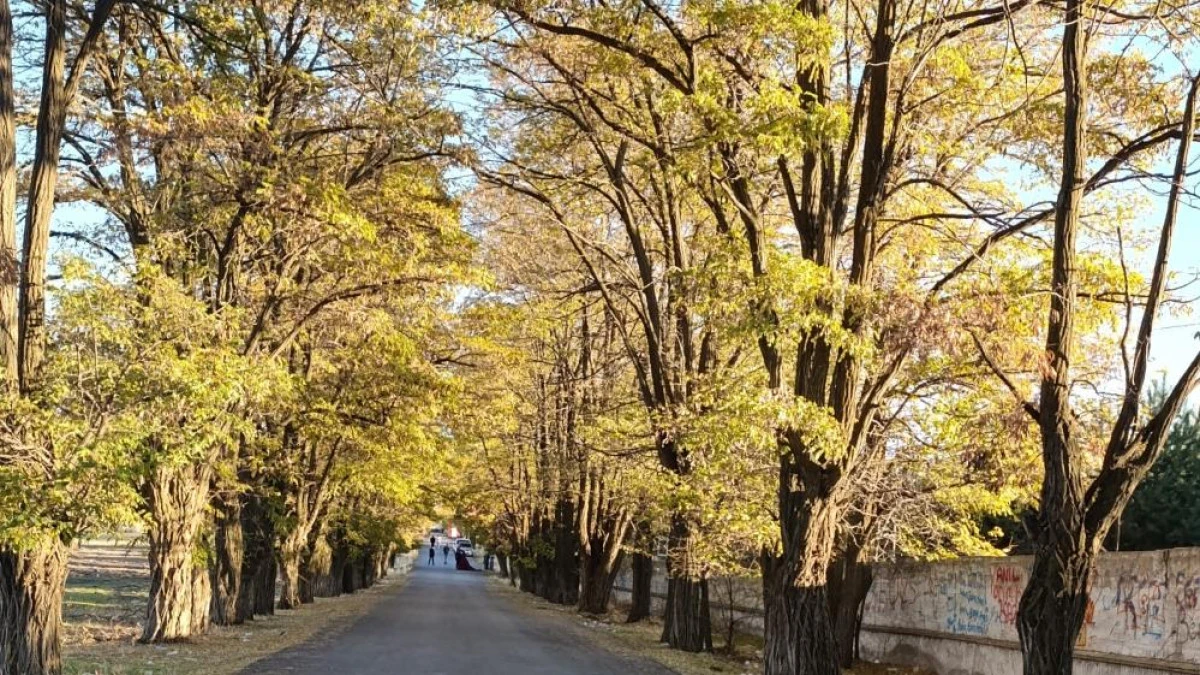 Van'da sonbahar renk cümbüşü