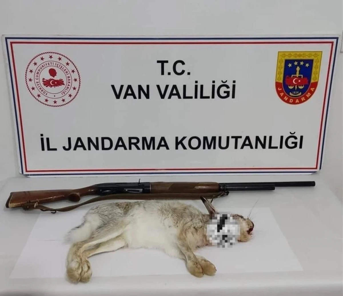 Van&rsquo;da tavşan avlayan şahsa 29 bin TL ceza