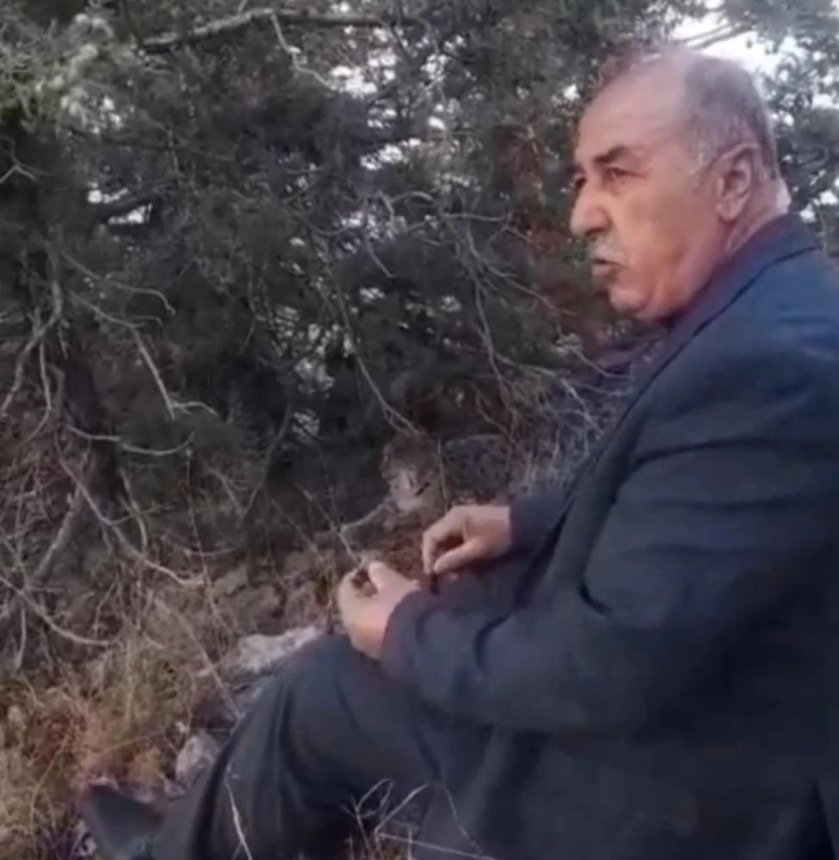 Van'da vaşak görüntülendi