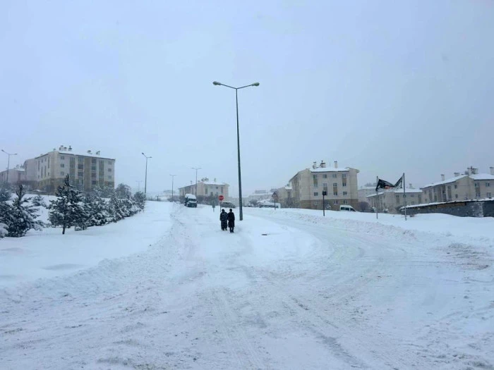 Van&rsquo;da yoğun kar yağışı: 287 yerleşim yerine ulaşım sağlanamıyor