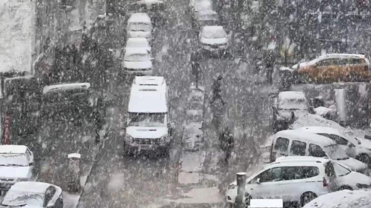 Van'da yoğun kar yağışı etkili oldu