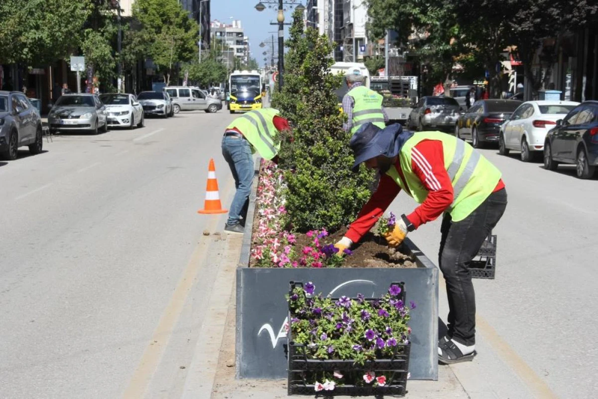 Van'daki cadde ve kavşaklar çiçek açtı