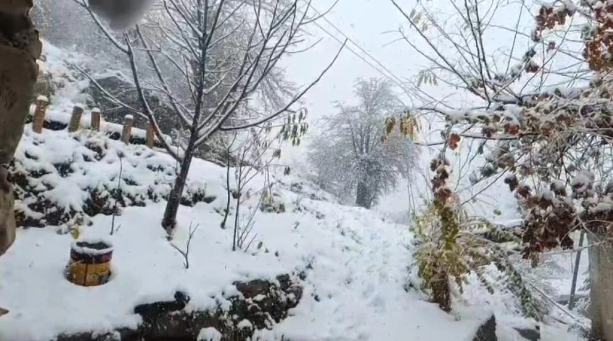 Van'ın Bahçesaray ilçesinde kar etkili oldu