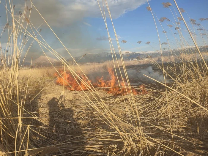 Van&rsquo;ın Muradiye il&ccedil;esinde sazlık yangını