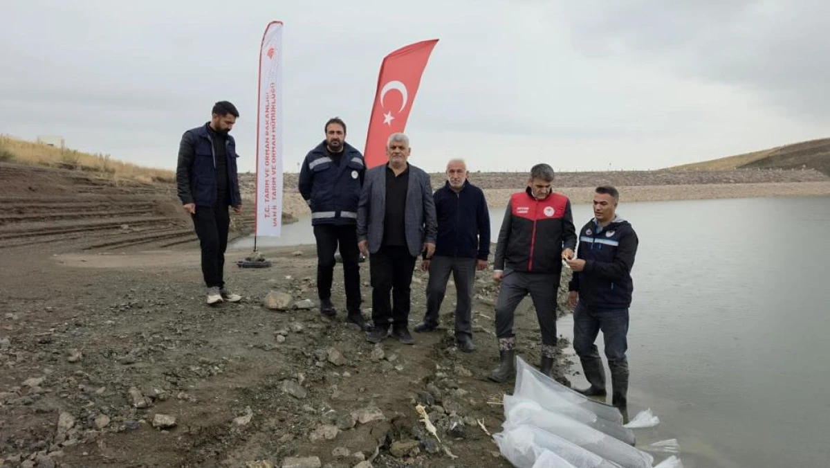 Van'ın su &uuml;r&uuml;nleri sekt&ouml;r&uuml;nden ekonomiye 25 milyon dolarlık katkı