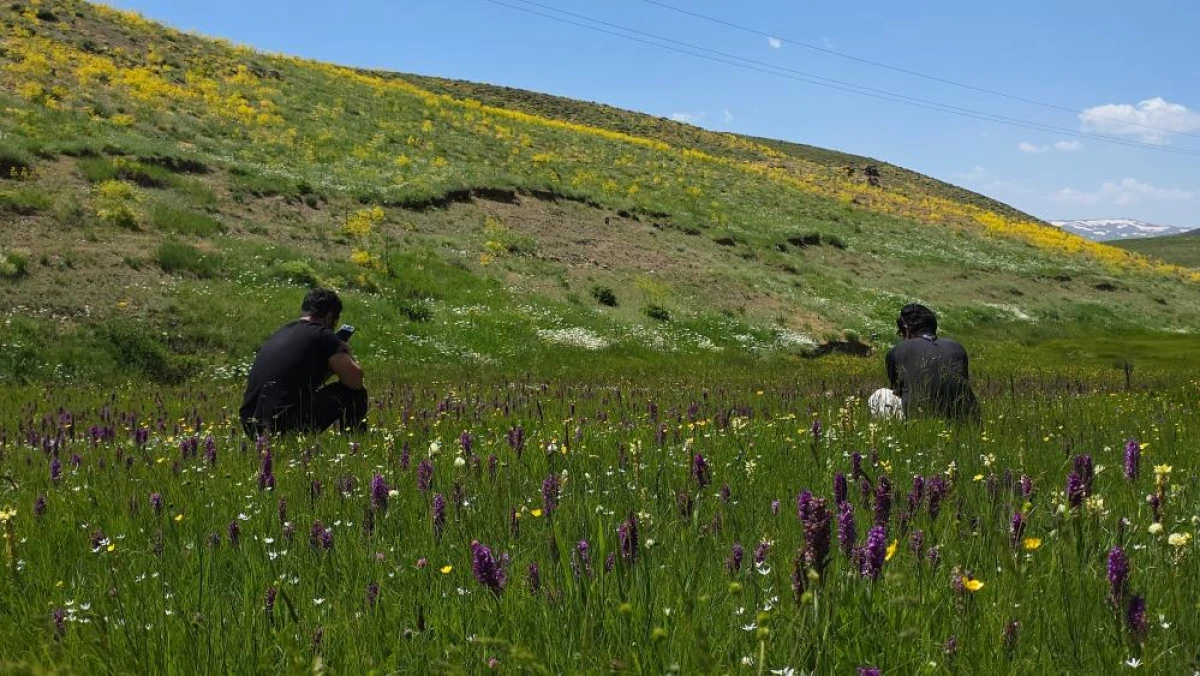 Van'ın yaylaları, &ccedil;i&ccedil;ekleri ve karlı zirveleriyle mest ediyor