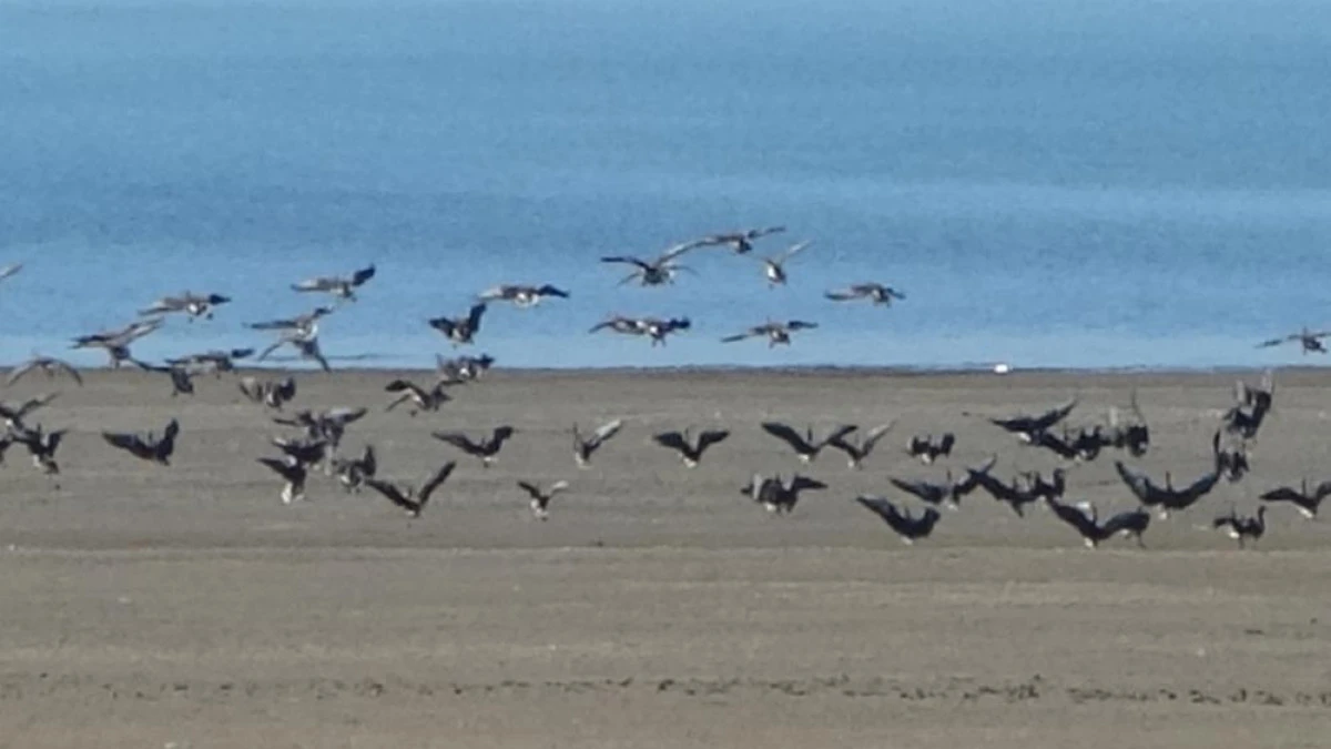 Zorlu göçün durağı Erçek Gölü